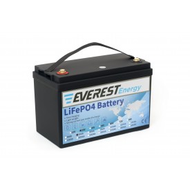 Everest Energy 24V-50А литиевый тяговый аккумулятор 