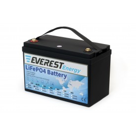 Everest Energy 24V-120А (60A+60A) литиевый тяговый аккумулятор 
