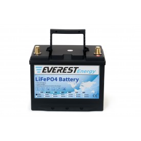 Everest Energy 24V-40А литиевый тяговый аккумулятор 