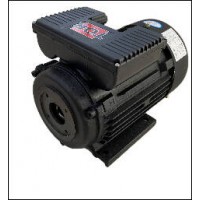 100L2-4 TOR Мотор H100 HP 4.0 2P MA AC KW 3,0 2P
