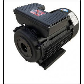 Мотор TOR H100 HP 4.0 2P MA AC KW 3,0 2P