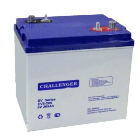 Challenger EV6-205 тяговый аккумулятор