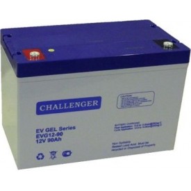Challenger EVG12-100S Гелевый тяговый аккумулятор