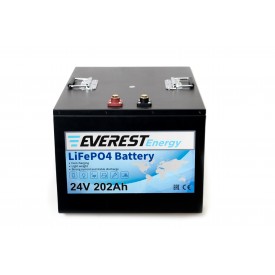 Everest Energy 24V-202A литиевый тяговый аккумулятор 
