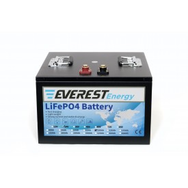 Everest Energy 24V-100А литиевый тяговый аккумулятор 