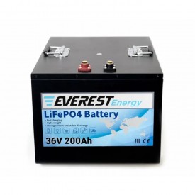 Литиевый тяговый аккумулятор Everest Energy 36V-200A